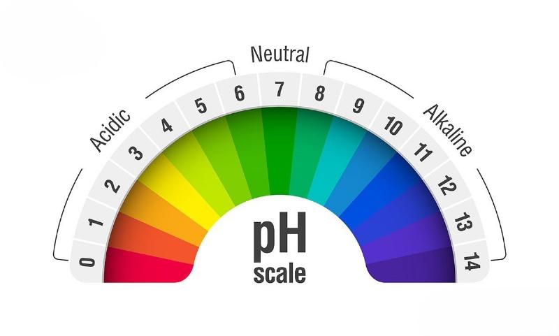 Su dung que thu hoac dung dich kiem tra do pH nuoc